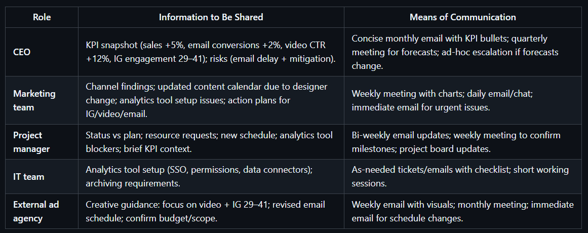 Stakeholder communication planning, campaign reporting, KPI analysis, and marketing insights.