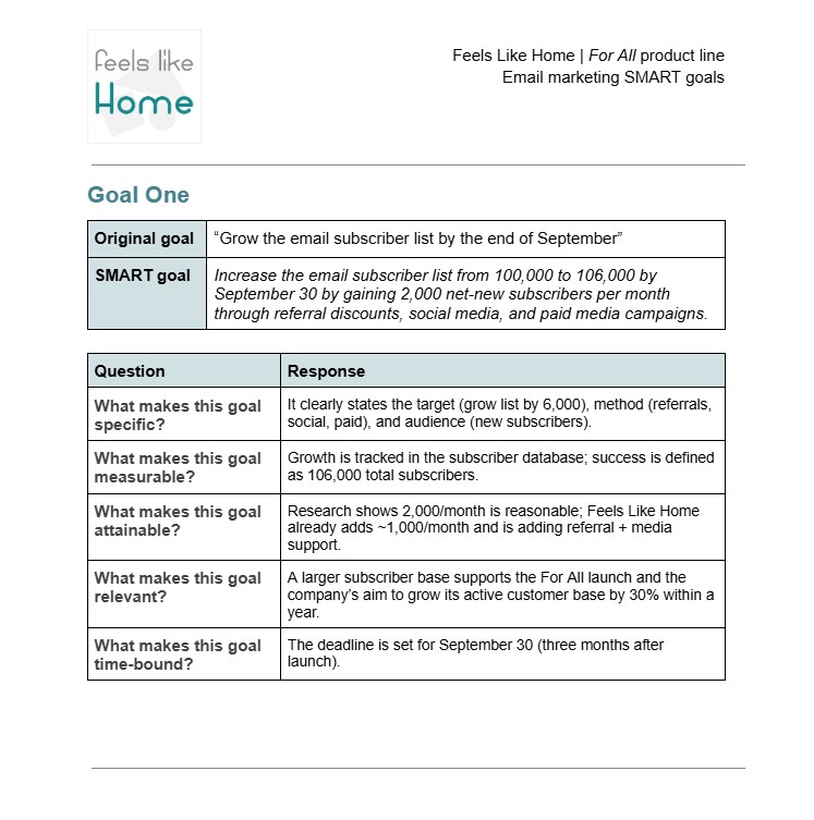 SMART goal framework showing audience growth planning and subscriber acquisition objectives.