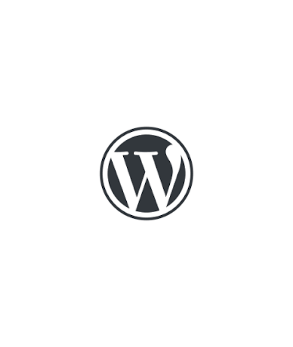 WordPress & theme logo, SEO & plugin icons representing expertise by WordPress SEO expert & specialist Mohammad Aminul Islam.